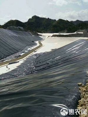 防滲膜批發指南 土工膜與復合土工膜價格優勢分析