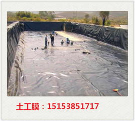 高要垃圾場土工膜廠家直銷與藕池防滲膜應用解析 專業土工膜的選擇與價值