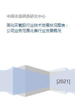 固化環(huán)氧膠行業(yè)技術(shù)發(fā)展?fàn)顩r、業(yè)務(wù)范圍及北美市場(chǎng)概況